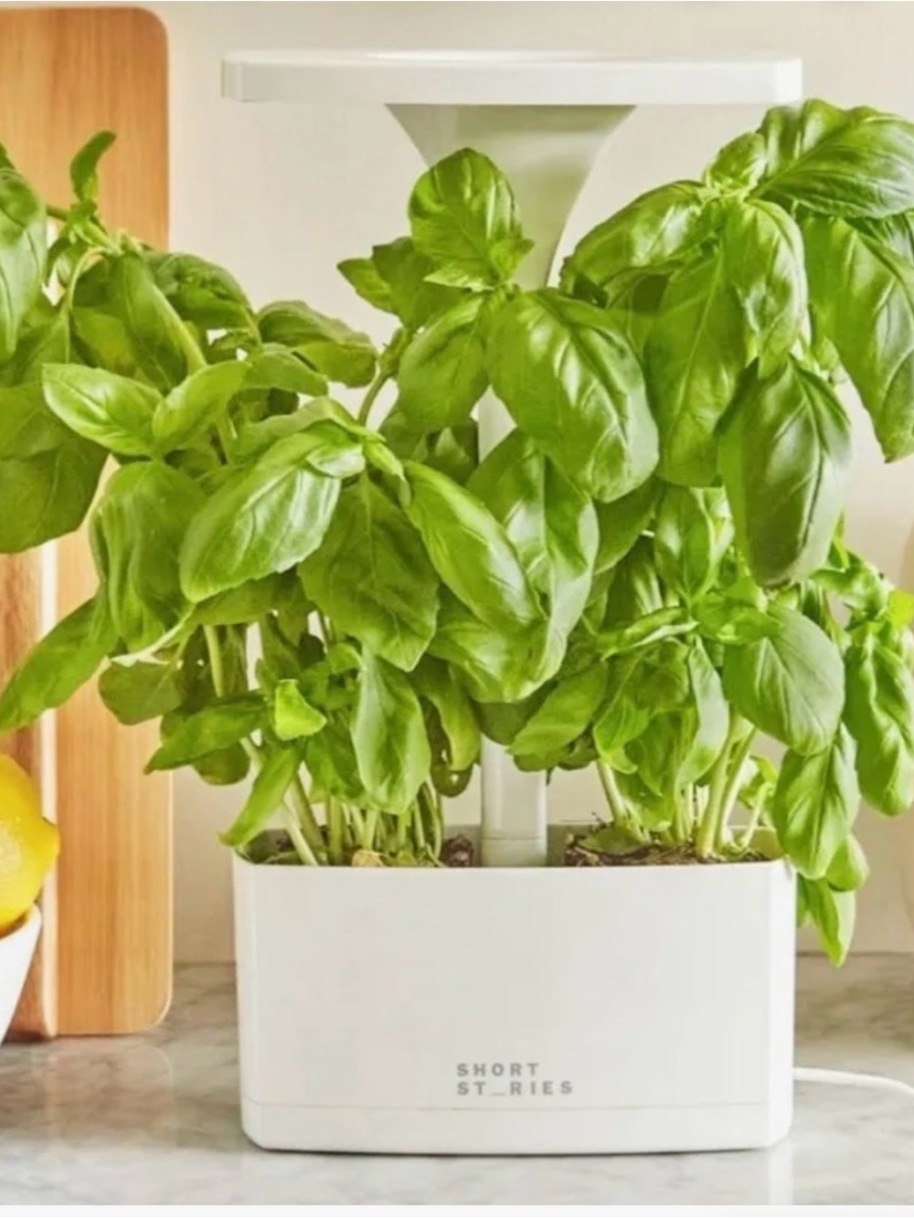 Short Stories indoor LED planter